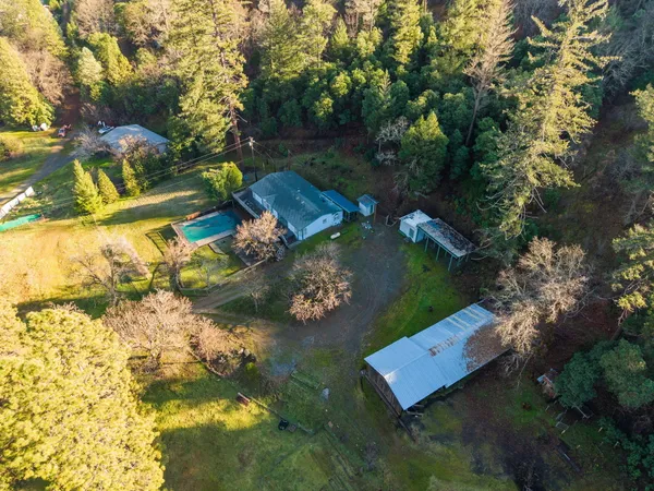 a view of a garden from a balcony