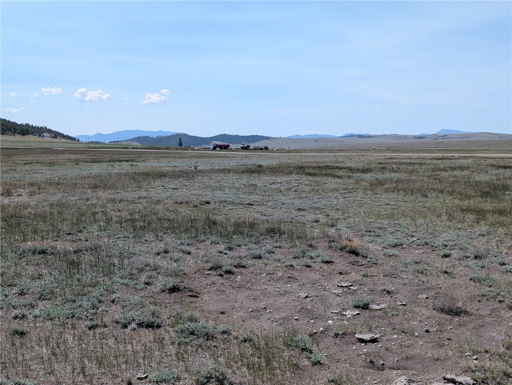 0 Co-9 Fairplay, CO 80440 - Photo 15 of 21