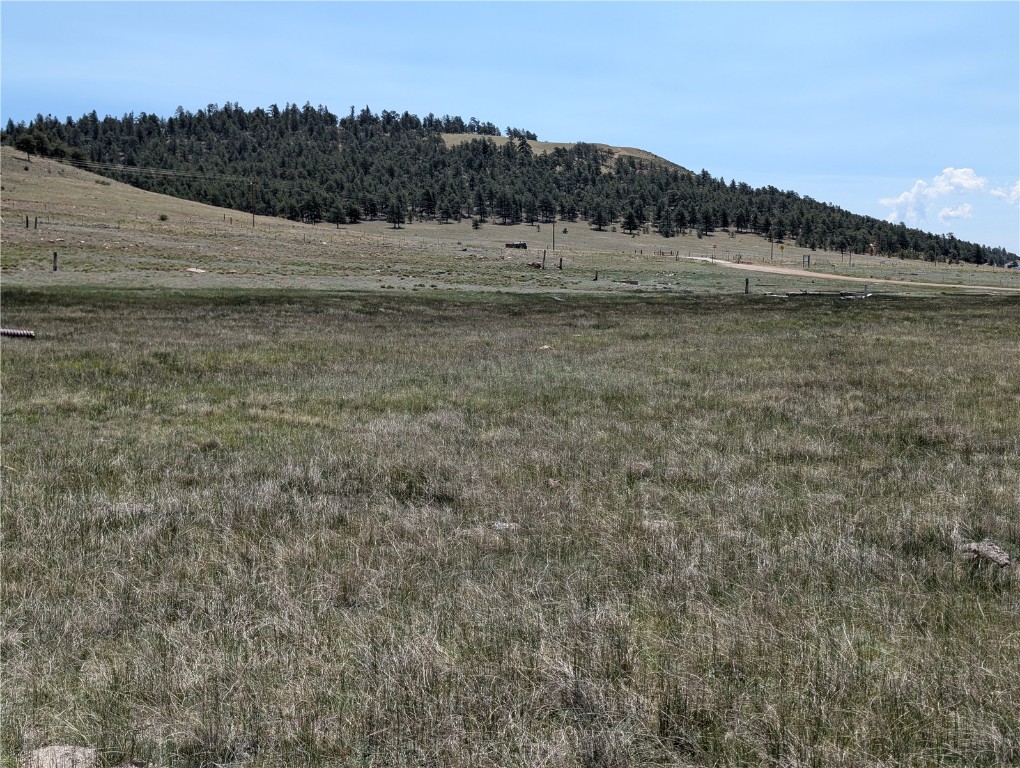 0 Co-9 Fairplay, CO 80440 - Photo 20 of 21