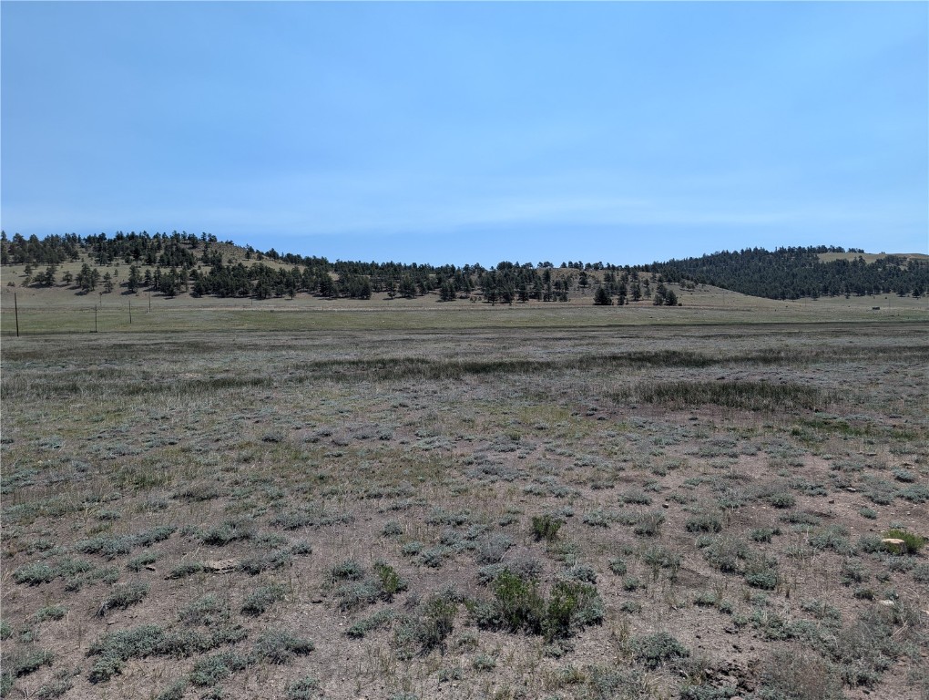 0 Co-9 Fairplay, CO 80440 - Photo 4 of 21