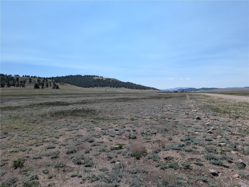 0 Co-9 Fairplay, CO 80440 - Photo 5 of 21