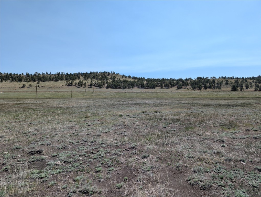 0 Co-9 Fairplay, CO 80440 - Photo 6 of 21