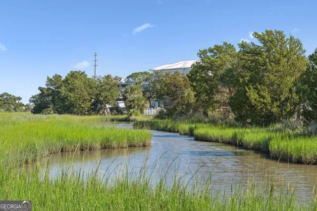 a view of a lake from a yard