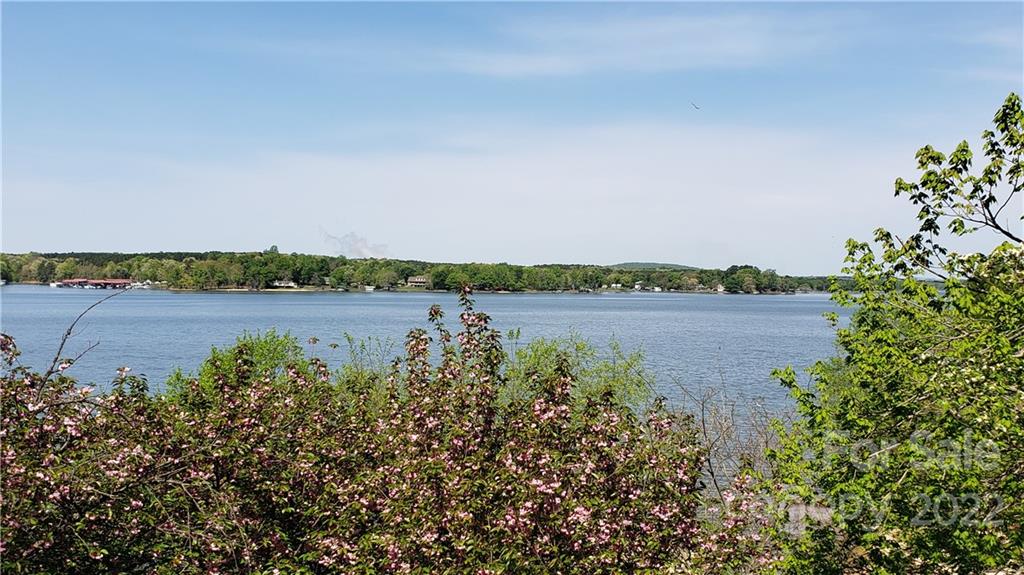 8032 Windjammer Drive Tega Cay, SC 29708 - Photo 38 of 48 a view of a lake with houses in the back