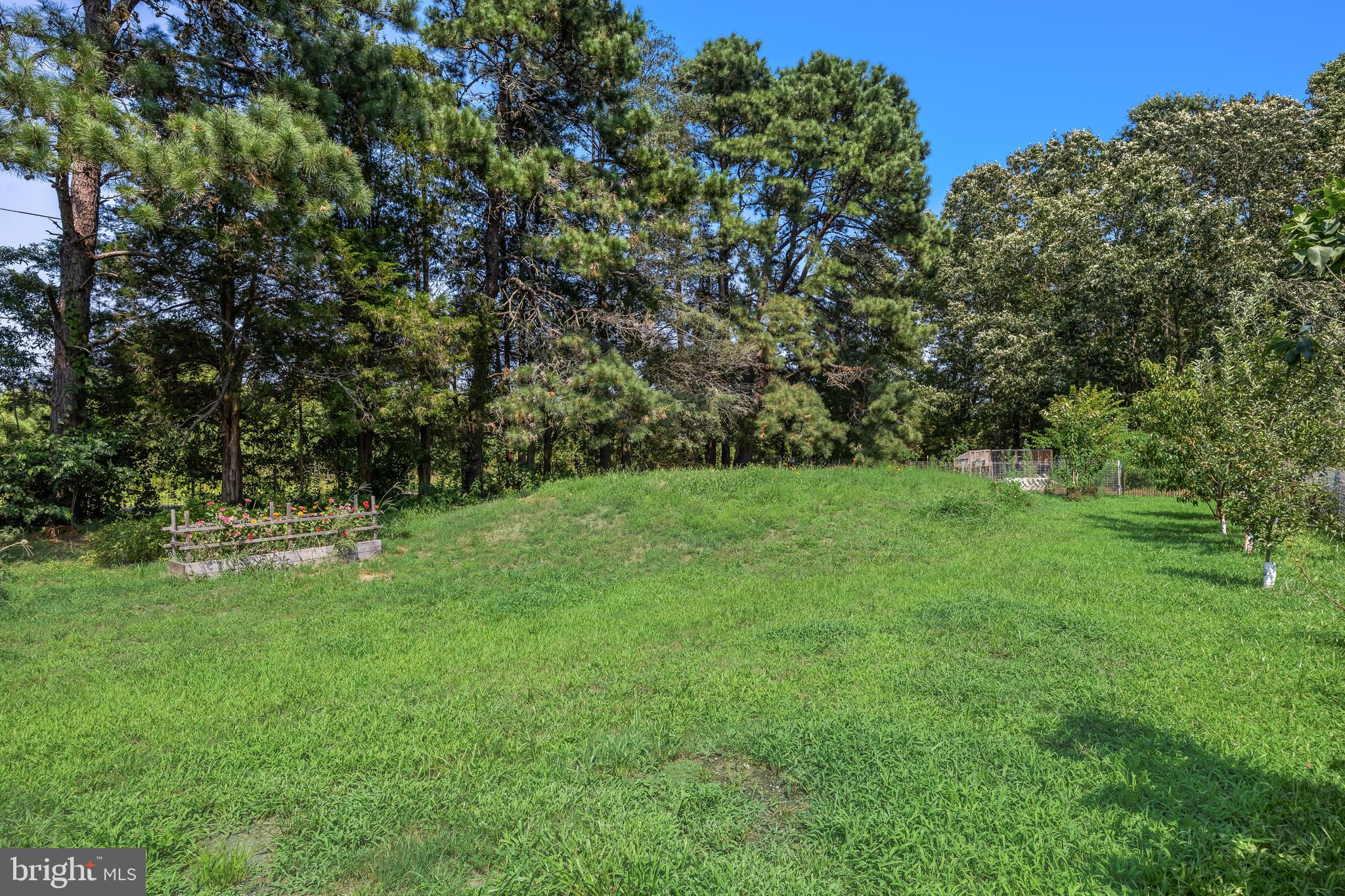 245 Stockton Bridge Road Pemberton, NJ 08068 - Photo 23 of 25 Gallery Image 23