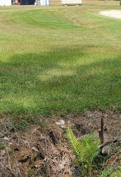 0 Sowell Road Dothan, AL 36301 - Photo 5 of 13