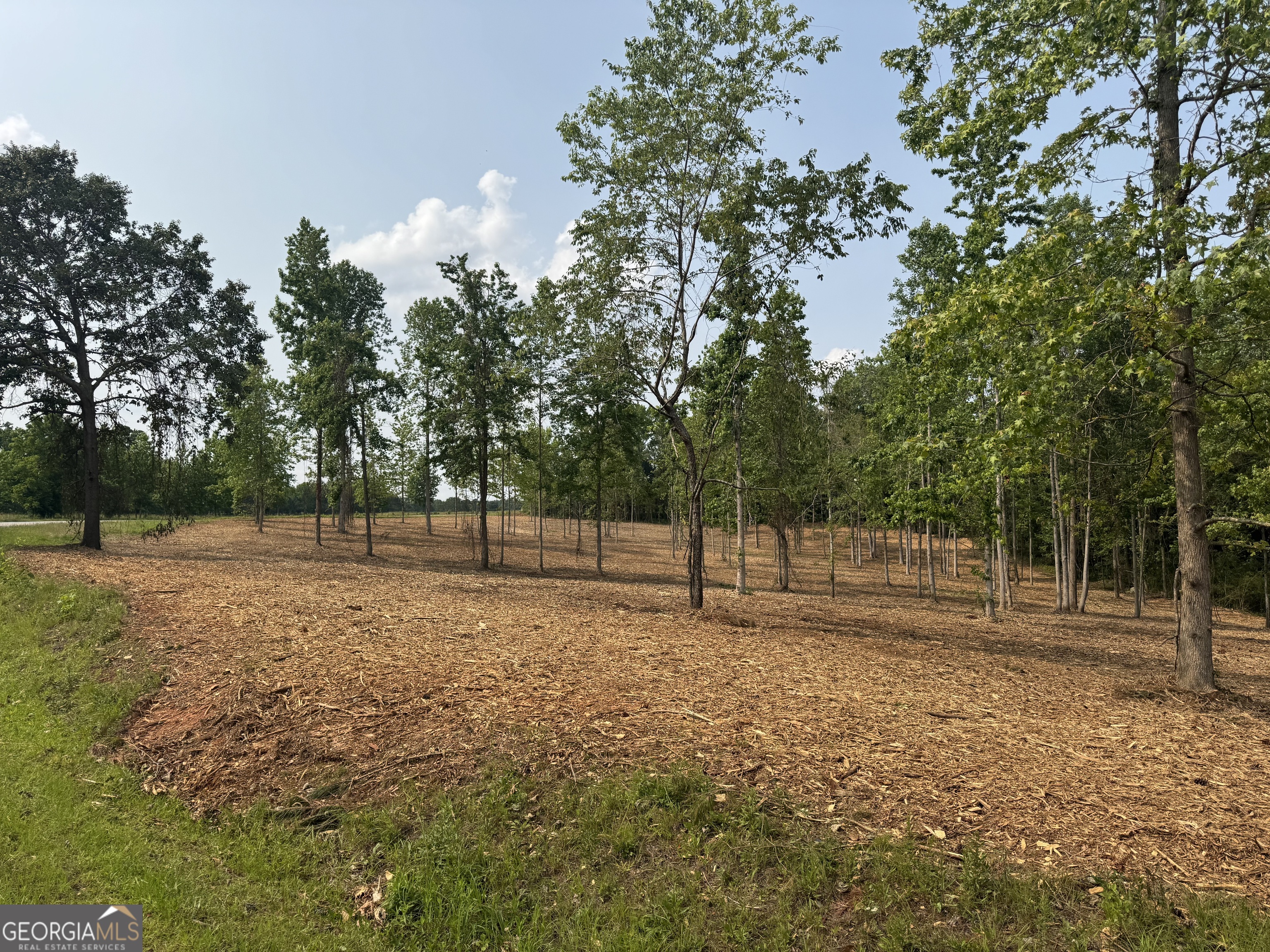 Lot 2 Happy Hollow Road Roopville, GA 30170 - Photo 1 of 1 a backyard of a house with lots of trees