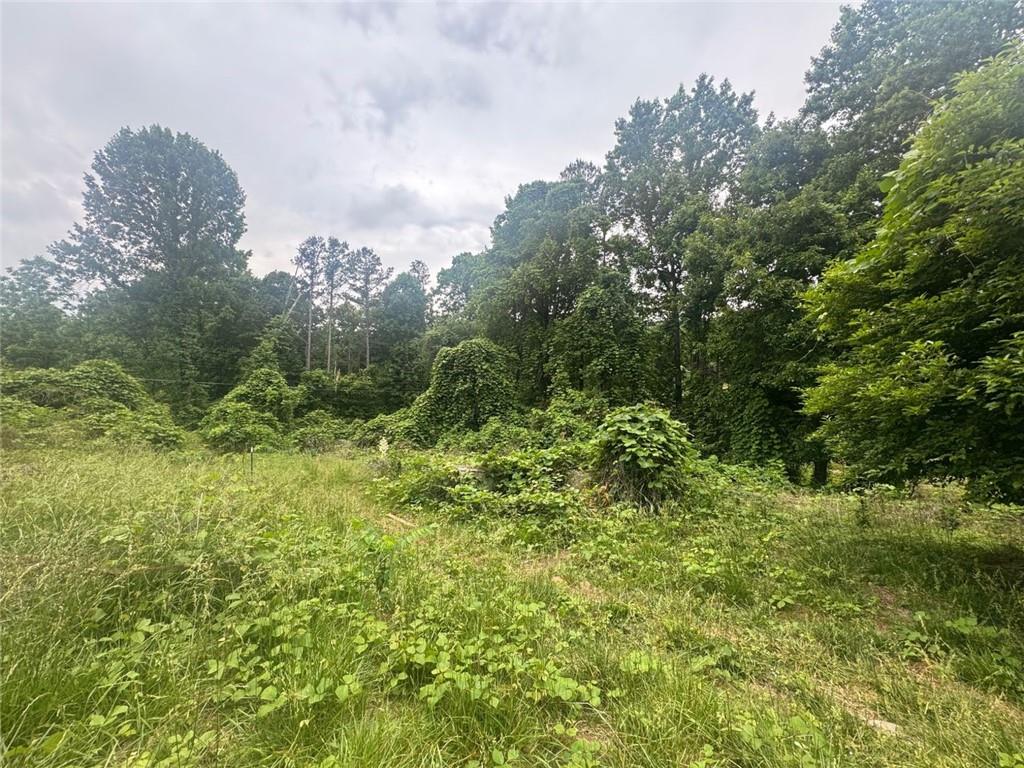 1460 Sam Nelson Road Canton, GA 30114 - Photo 5 of 8