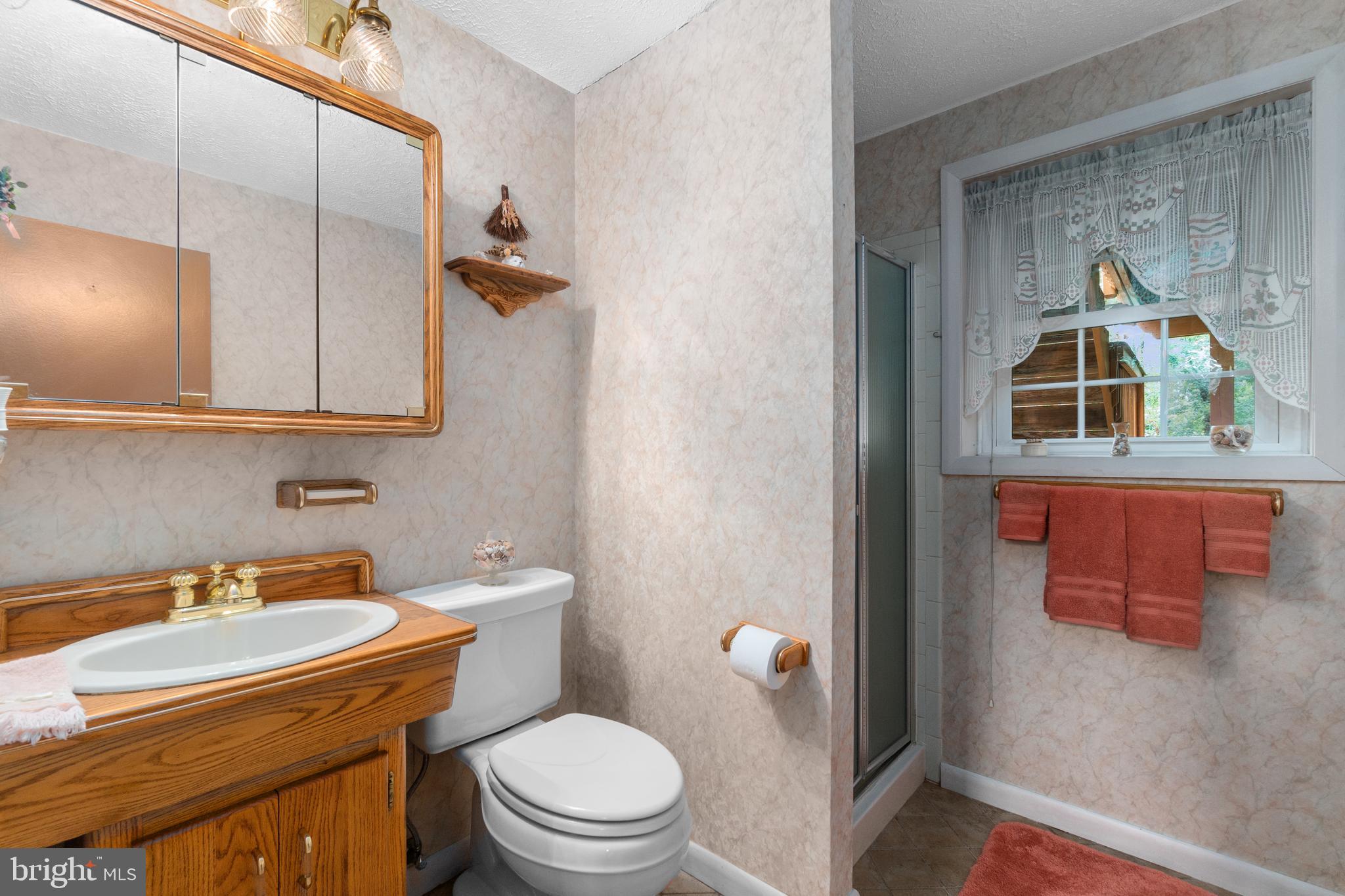 4232 Hermitage Drive Ellicott City, MD 21042 - Photo 13 of 42 3rd full bath is in lower level