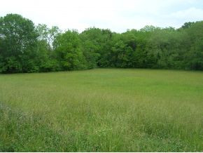Tbd Brewer Road Rogersville, TN 37857 - Photo 1 of 7 Photo 1
