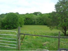 Tbd Brewer Road Rogersville, TN 37857 - Photo 2 of 7 Photo 2