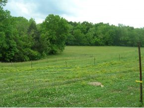 Tbd Brewer Road Rogersville, TN 37857 - Photo 4 of 7 Photo 4