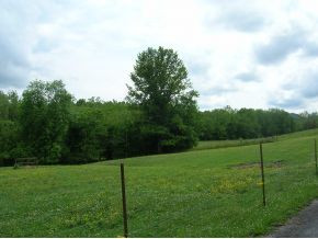 Tbd Brewer Road Rogersville, TN 37857 - Photo 5 of 7 Photo 5
