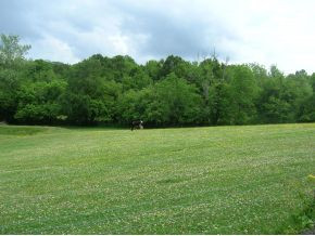 Tbd Brewer Road Rogersville, TN 37857 - Photo 6 of 7 Photo 6