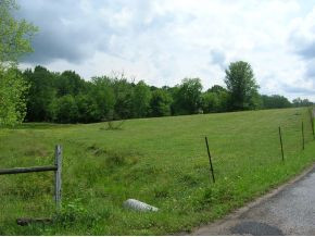 Tbd Brewer Road Rogersville, TN 37857 - Photo 7 of 7 Photo 7