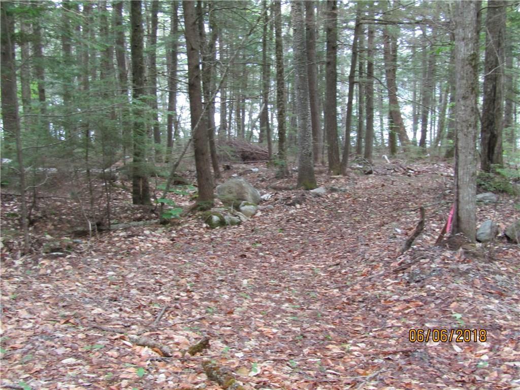 0 Tim's Cove Road Willimantic, ME 04443 - Photo 1 of 7 Photo