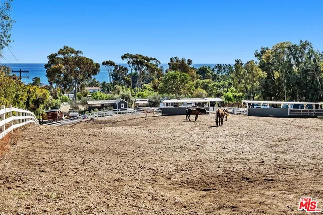 a view of a terrace with chairs