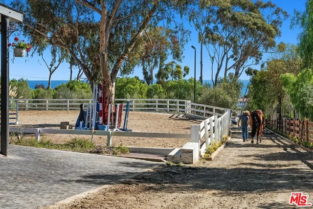 a view of park with large trees