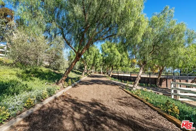 a view of a backyard