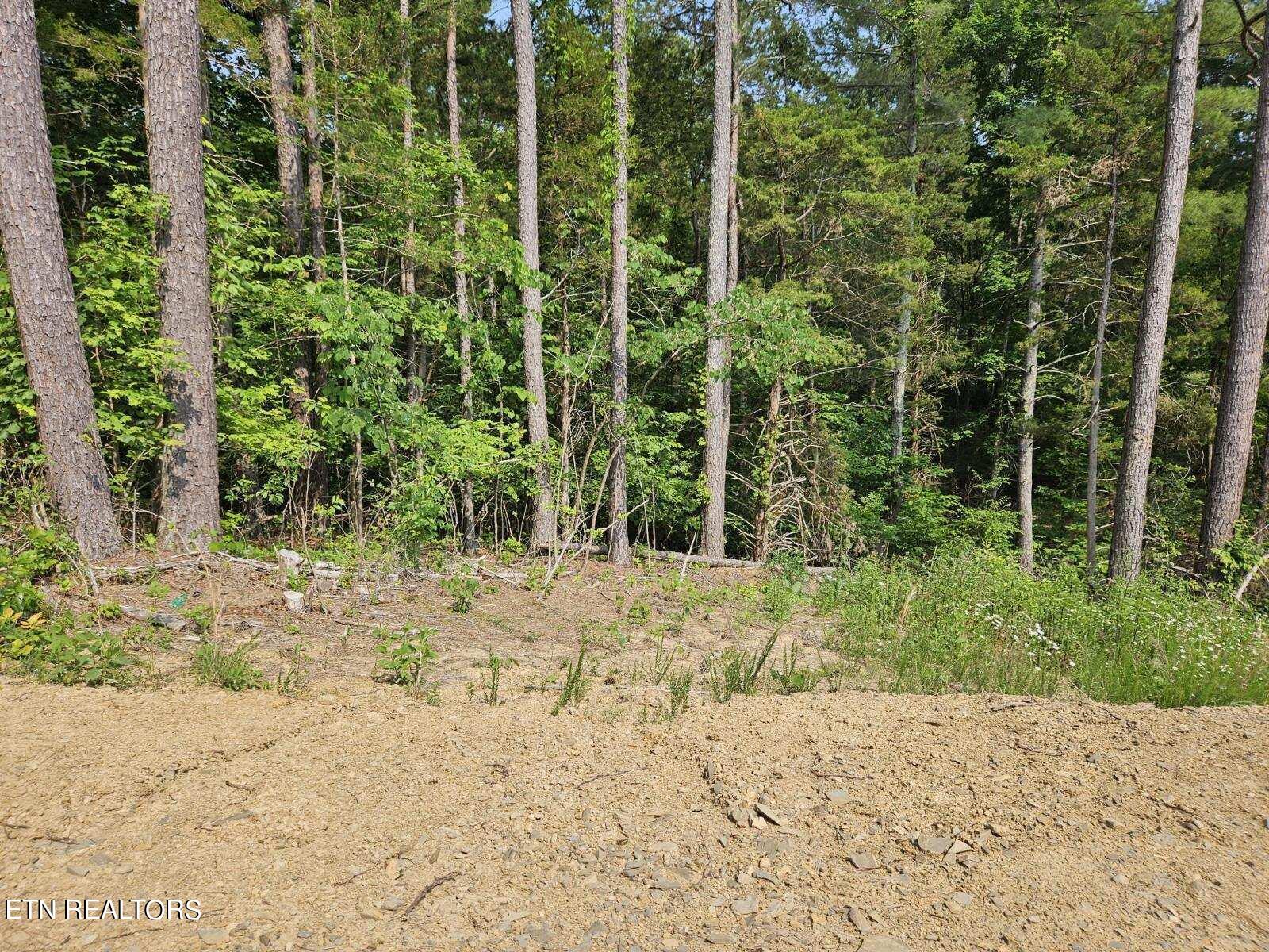 Lot 57 Bootbluff Dandridge, TN 37725 - Photo 2 of 6 image000001