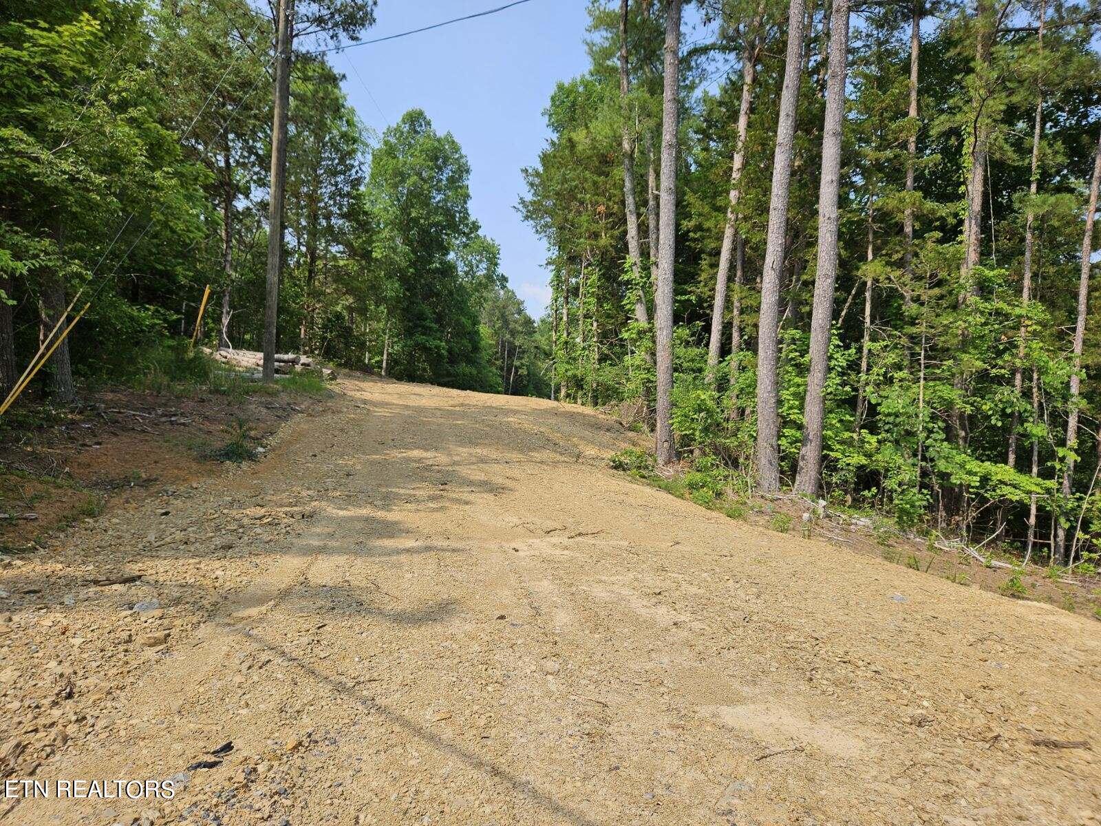 Lot 57 Bootbluff Dandridge, TN 37725 - Photo 3 of 6 image000000