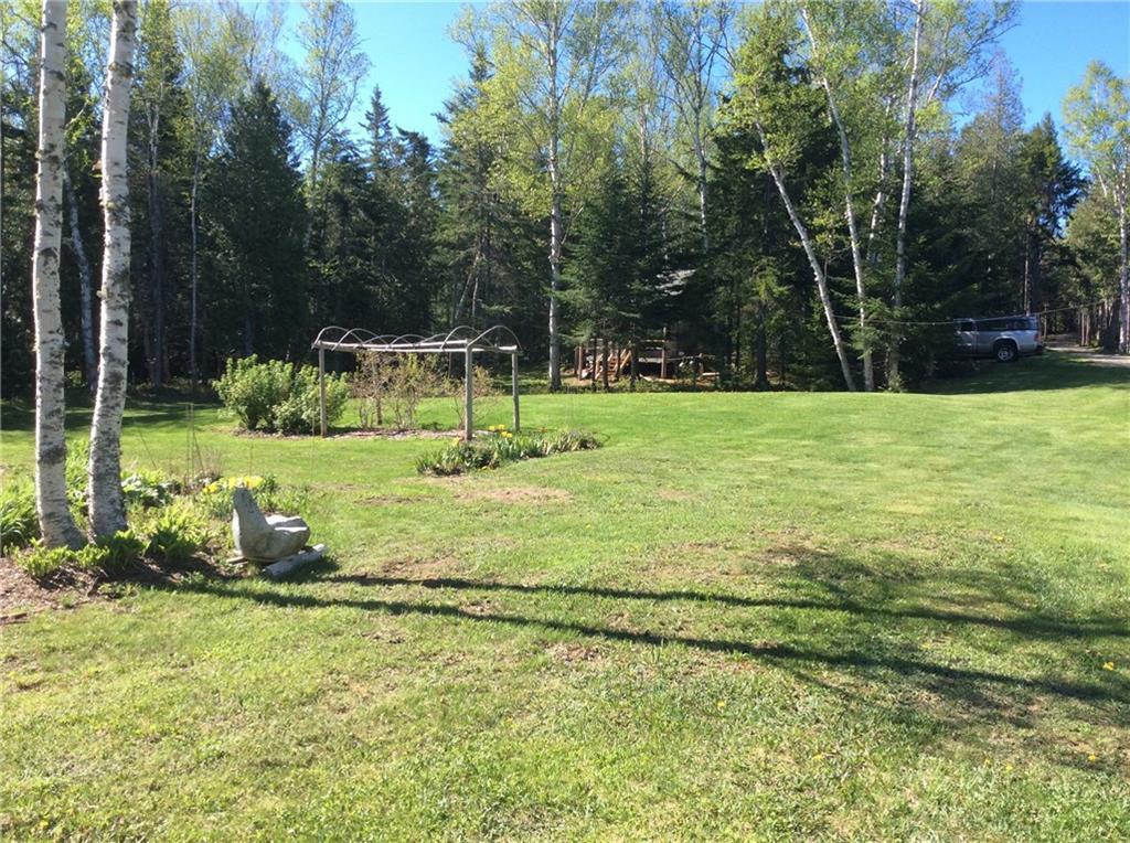 380 Lead Mine Road Lubec, ME 04652 - Photo 4 of 25 Beautiful lawn area with high bush...