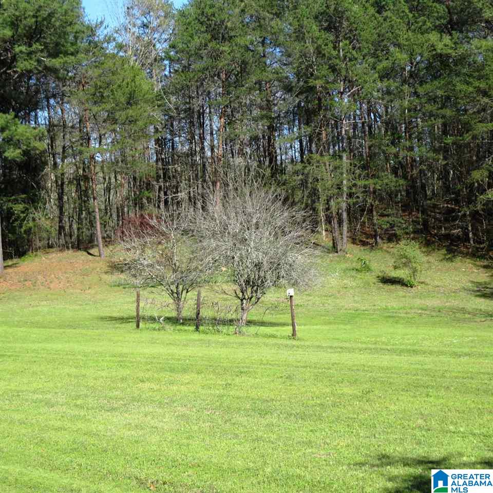 2294 Sims Road Oneonta, AL 35121 - Photo 9 of 14