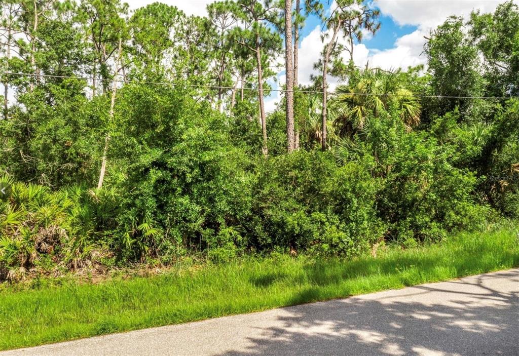 a view of a yard with plants and trees