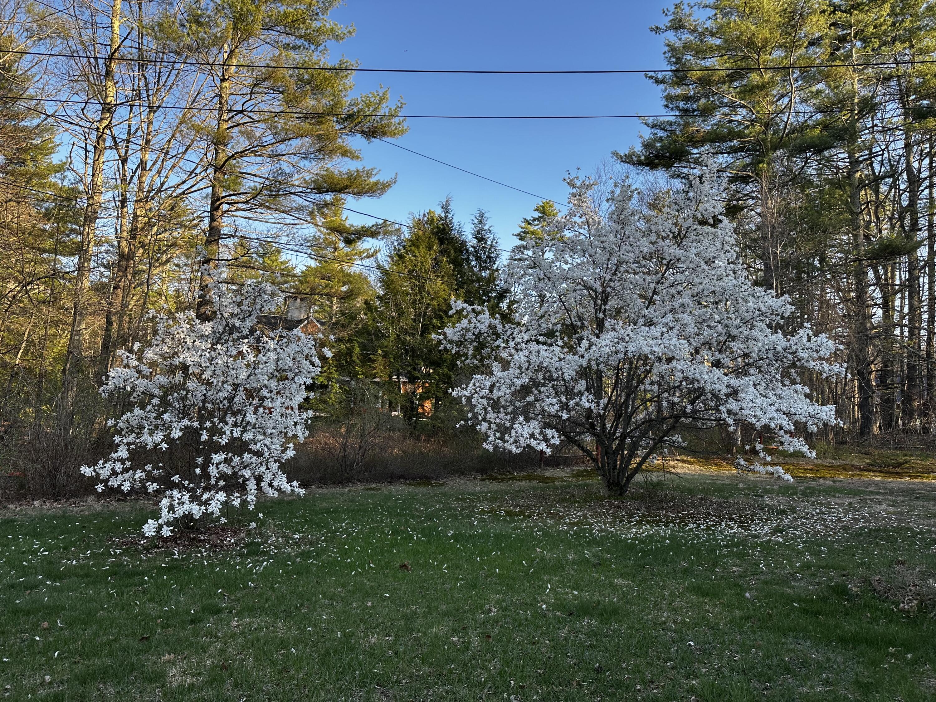 9 Hammond Road Kennebunk, ME 04043 - Photo 51 of 54 IMG_6878