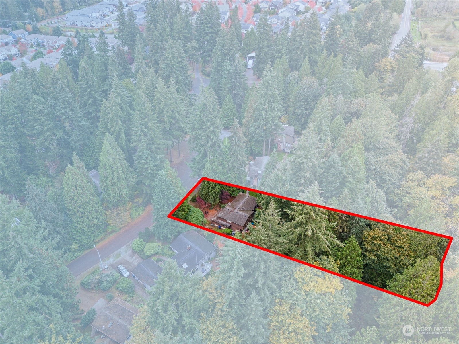 22929 38th Avenue Southeast Bothell, WA 98021 - Photo 37 of 38 a view of a bench in a forest
