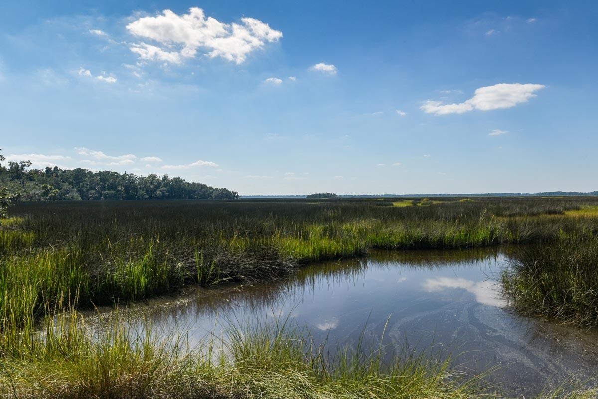 0 Raccoon Island Road Edisto Island, SC 29438 - Photo 21 of 42 DSC_4626