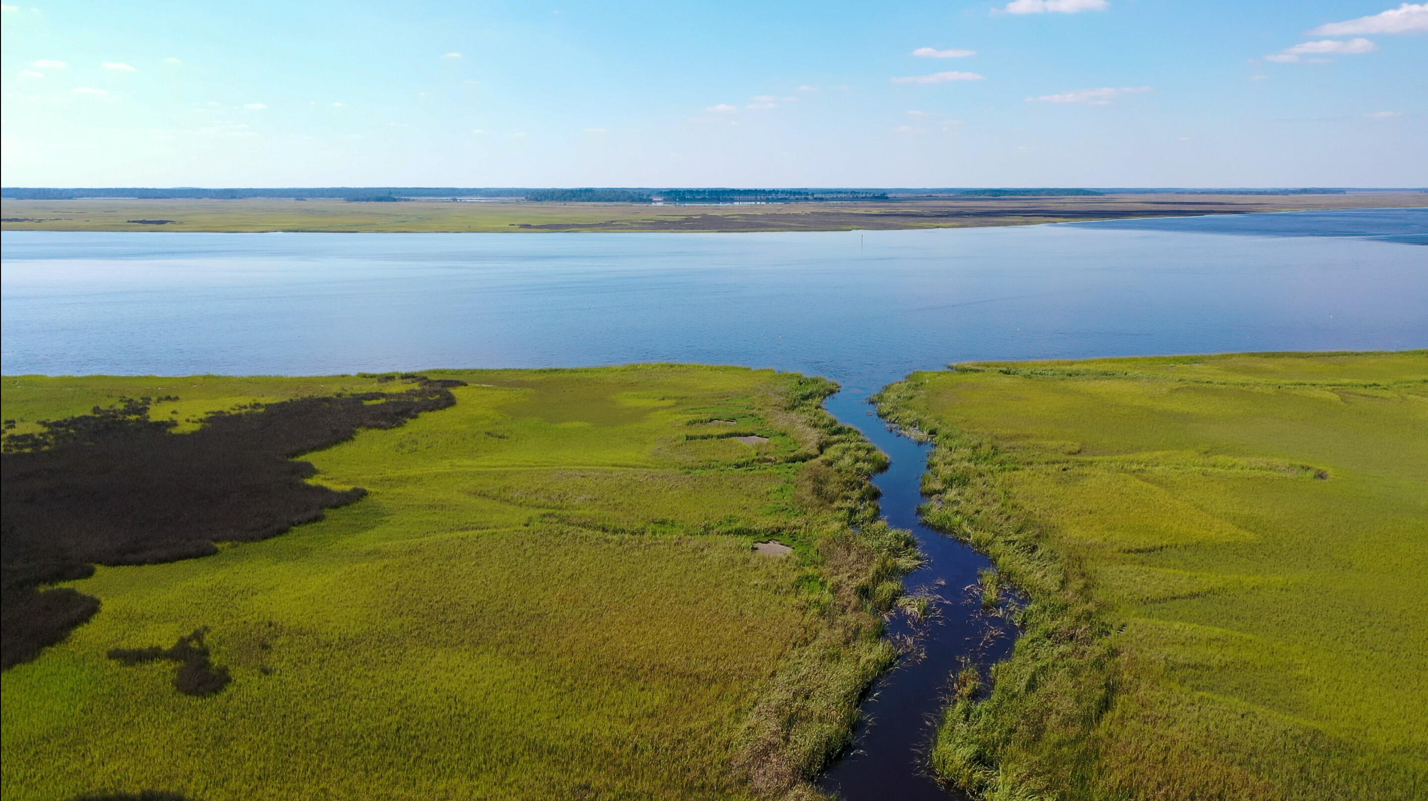 0 Raccoon Island Road Edisto Island, SC 29438 - Photo 3 of 42 Aerial-SaltPoint-5