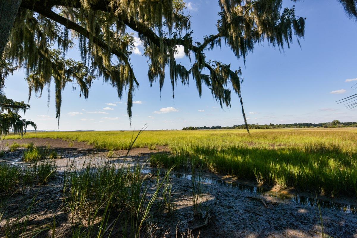 0 Raccoon Island Road Edisto Island, SC 29438 - Photo 31 of 42 DSC_4745