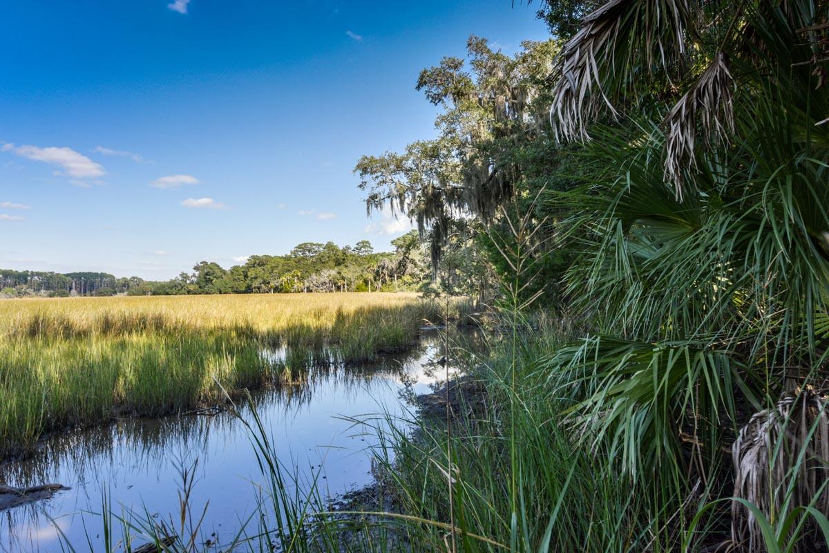 0 Raccoon Island Road Edisto Island, SC 29438 - Photo 33 of 42 DSC_4761