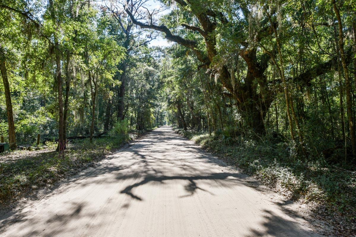 0 Raccoon Island Road Edisto Island, SC 29438 - Photo 37 of 42 DSC_4779