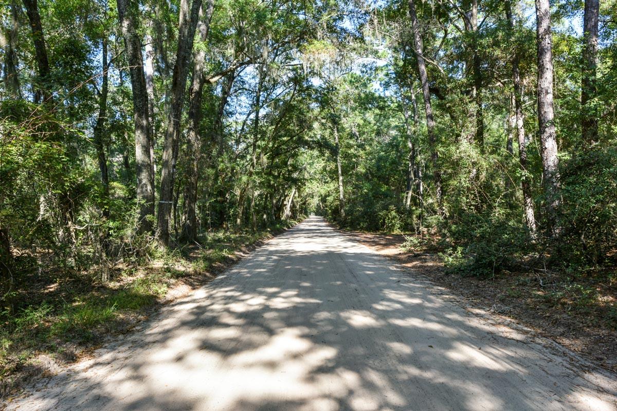 0 Raccoon Island Road Edisto Island, SC 29438 - Photo 38 of 42 DSC_4781