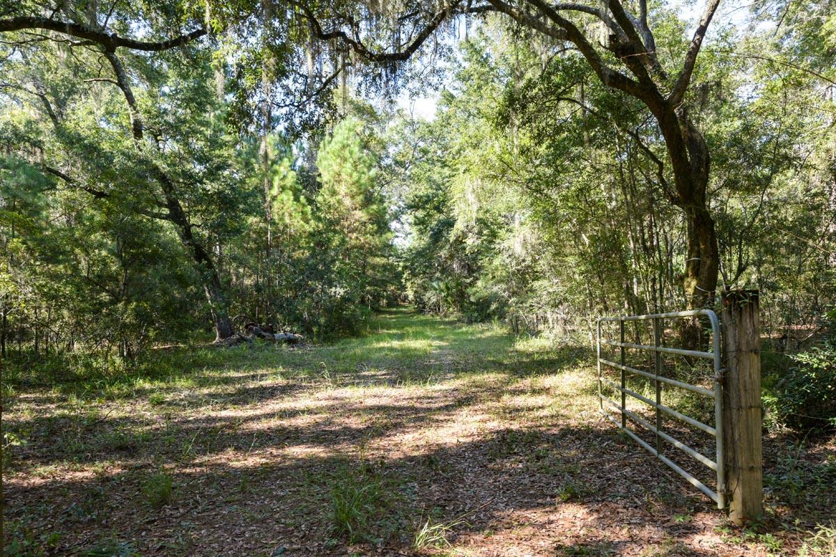 0 Raccoon Island Road Edisto Island, SC 29438 - Photo 39 of 42 DSC_4784