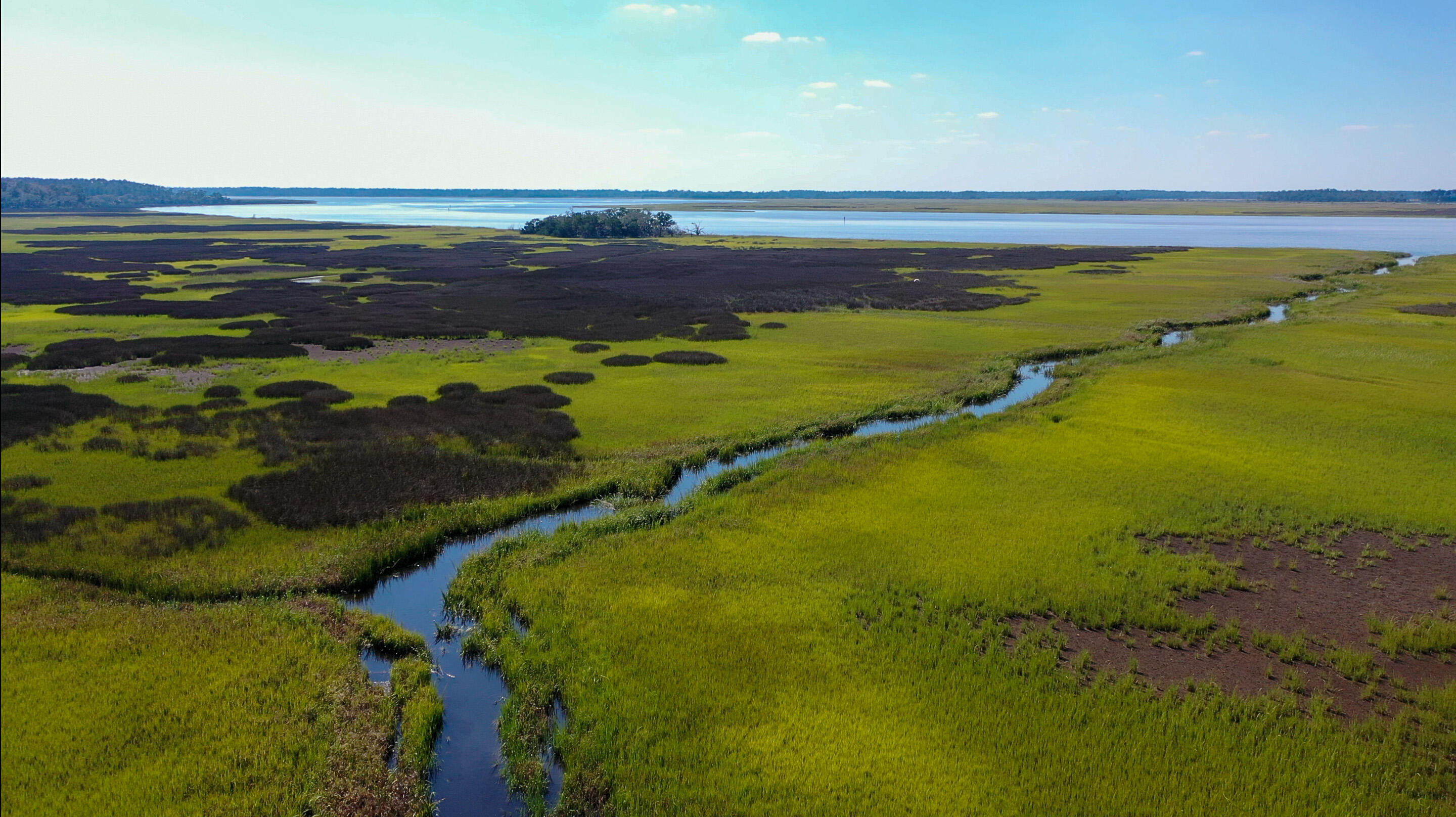 0 Raccoon Island Road Edisto Island, SC 29438 - Photo 4 of 42 Aerial-SaltPoint-4