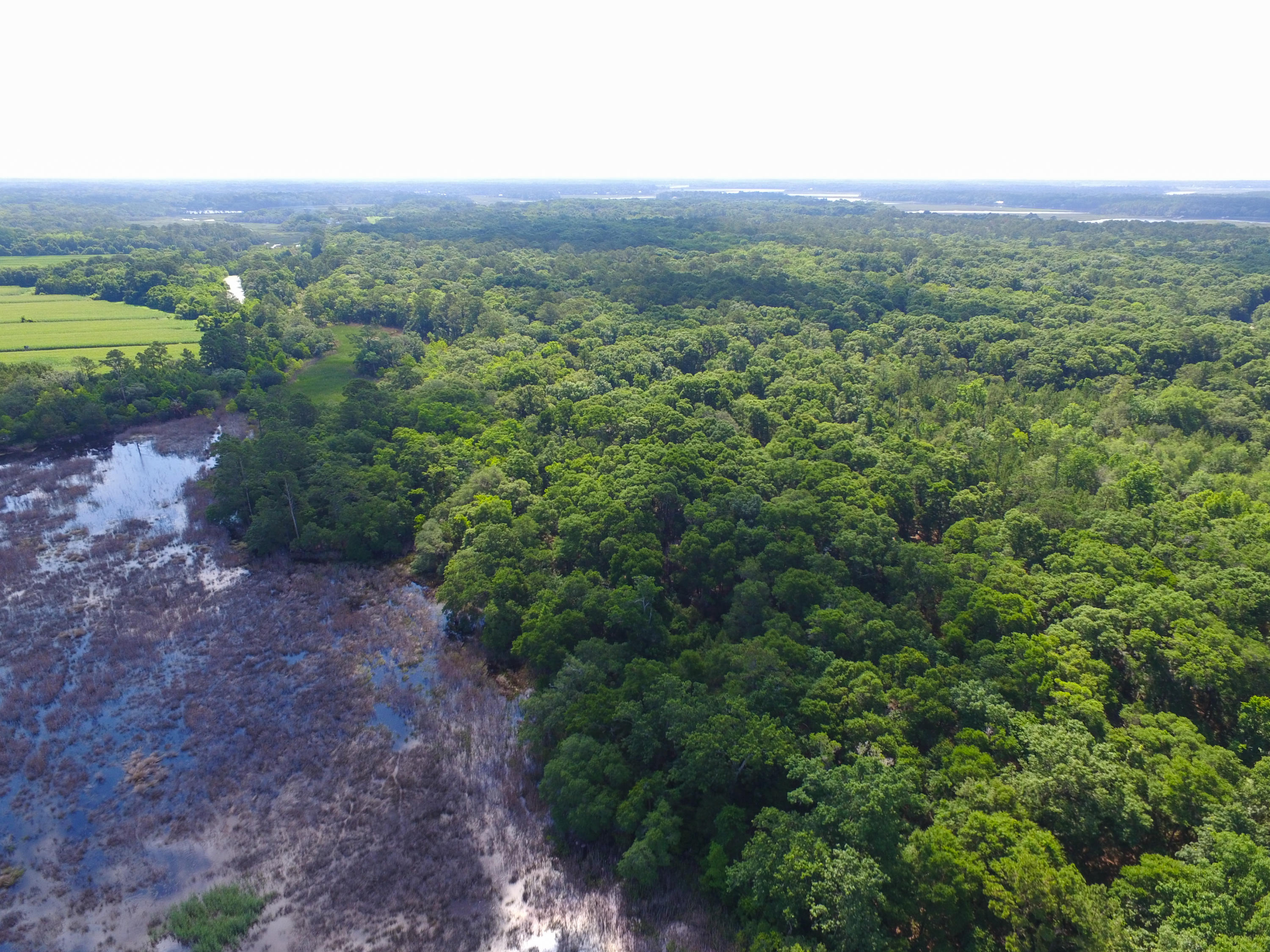 0 Raccoon Island Road Edisto Island, SC 29438 - Photo 5 of 42 Aerial-SaltPoint-2