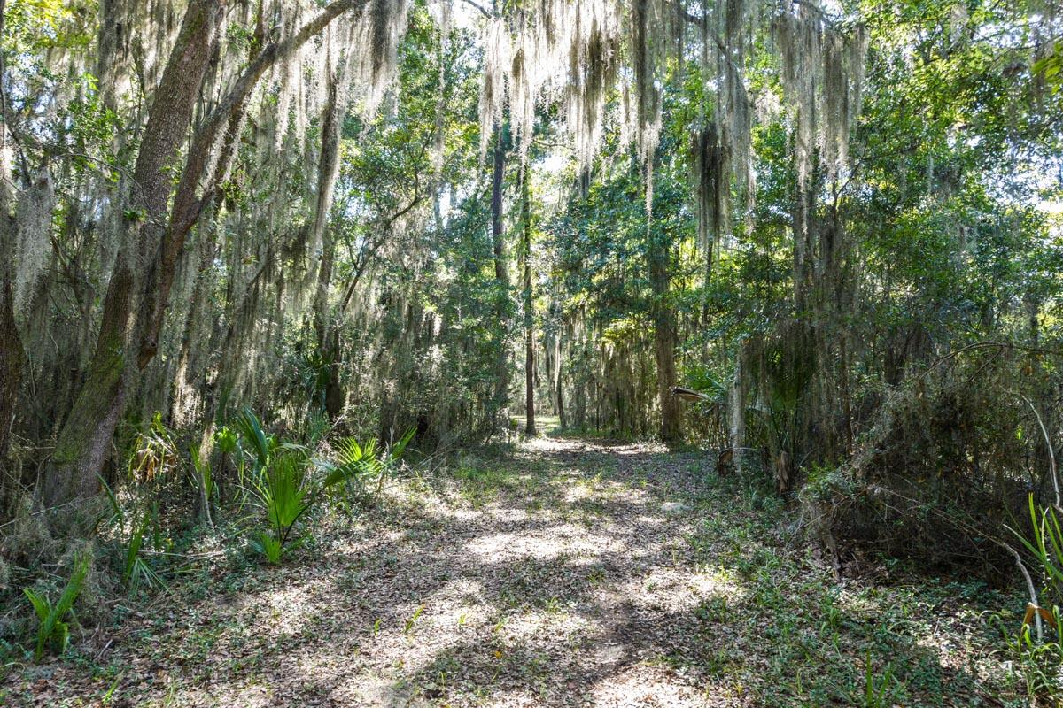 0 Raccoon Island Road Edisto Island, SC 29438 - Photo 42 of 42 DSC_4686