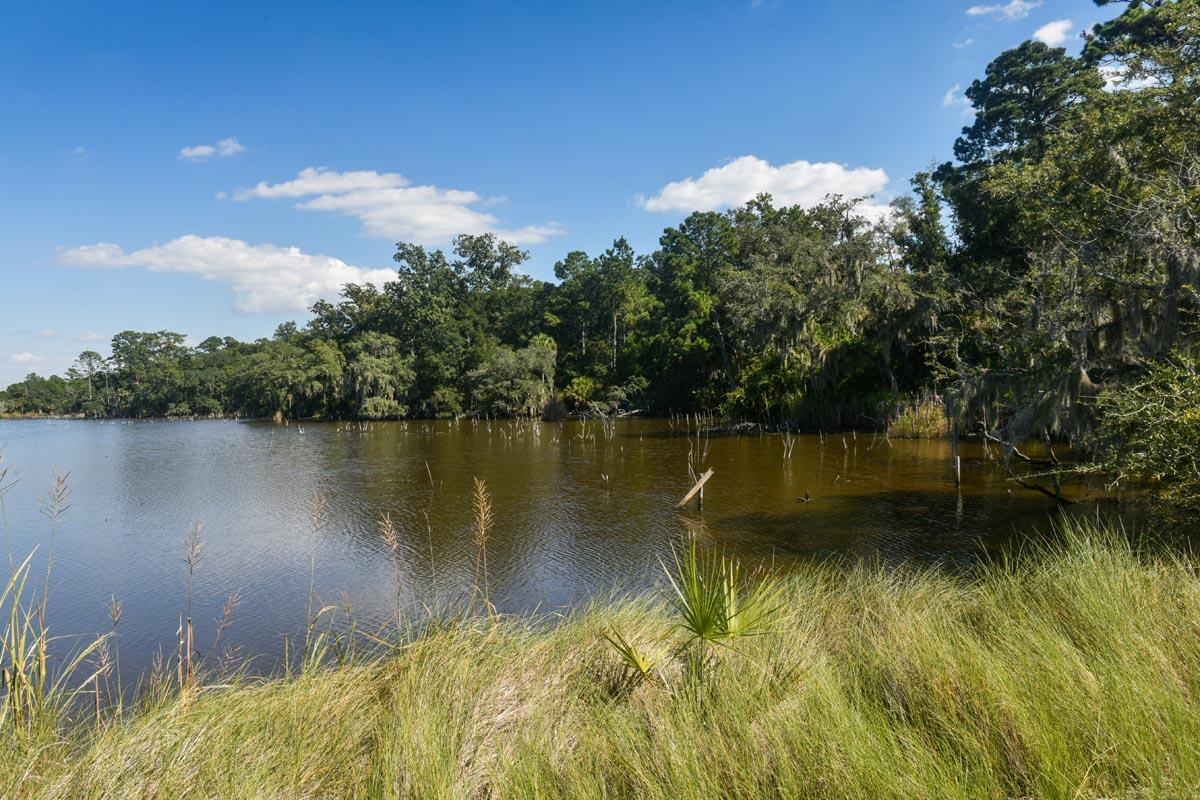 0 Raccoon Island Road Edisto Island, SC 29438 - Photo 8 of 42 DSC_4621
