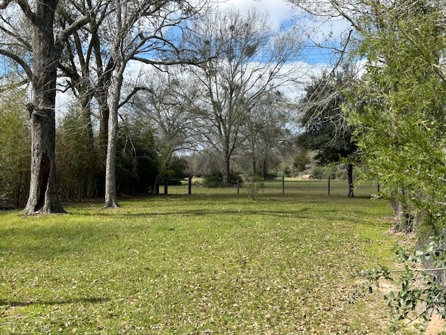 Lot 8 25th Street Hempstead, TX 77445 - Photo 3 of 6 a view of a park with large trees