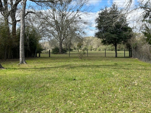 Lot 8 25th Street Hempstead, TX 77445 - Photo 4 of 6 a tall tree in middle of a field