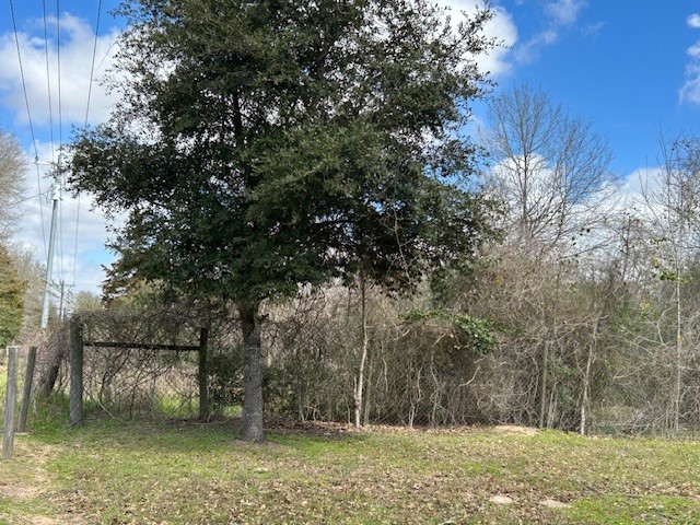 Lot 8 25th Street Hempstead, TX 77445 - Photo 6 of 6 a backyard of a house with lots of green space