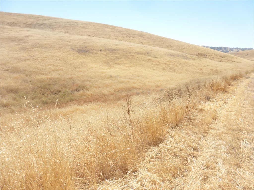 0 Douglas Road San Miguel, CA 93451 - Photo 47 of 75 Gallery Image 47