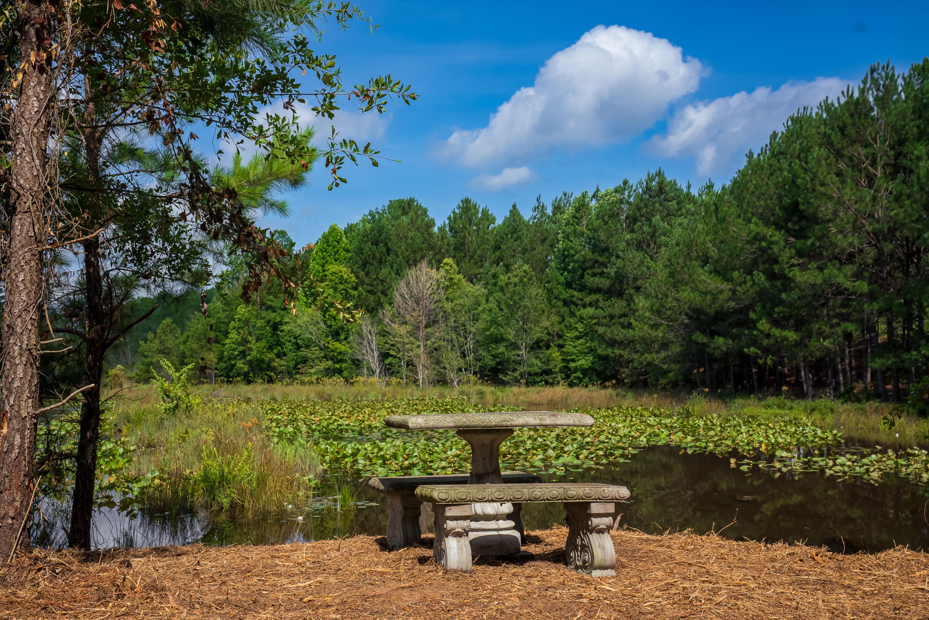138 Ranchero Street Aiken, SC 29805 - Photo 39 of 50
