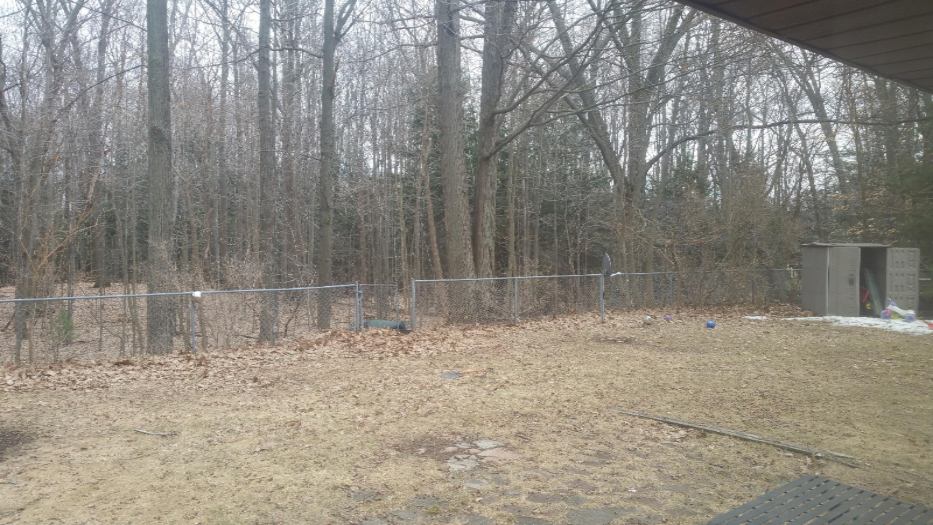 18192 West Spring Lake Road Spring Lake, MI 49456 - Photo 16 of 19 20150326_115304.jpg