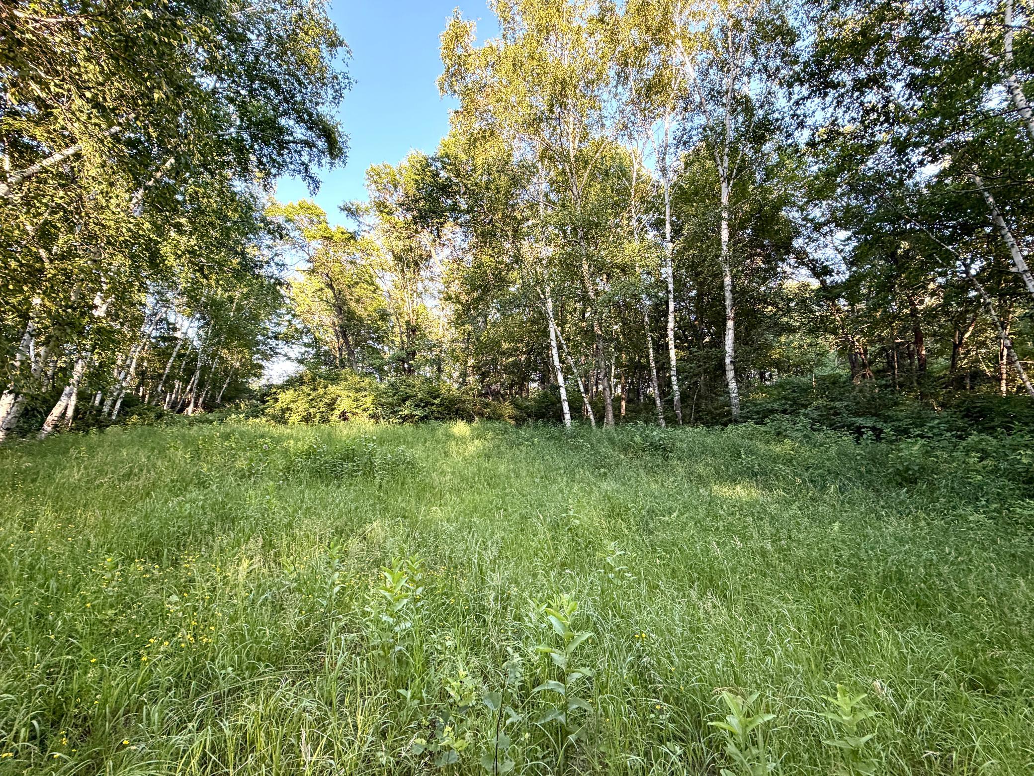 L18-b1 L18-b1 Acorn Ridge Road Northwest Bemidji, MN 56601 - Photo 6 of 11