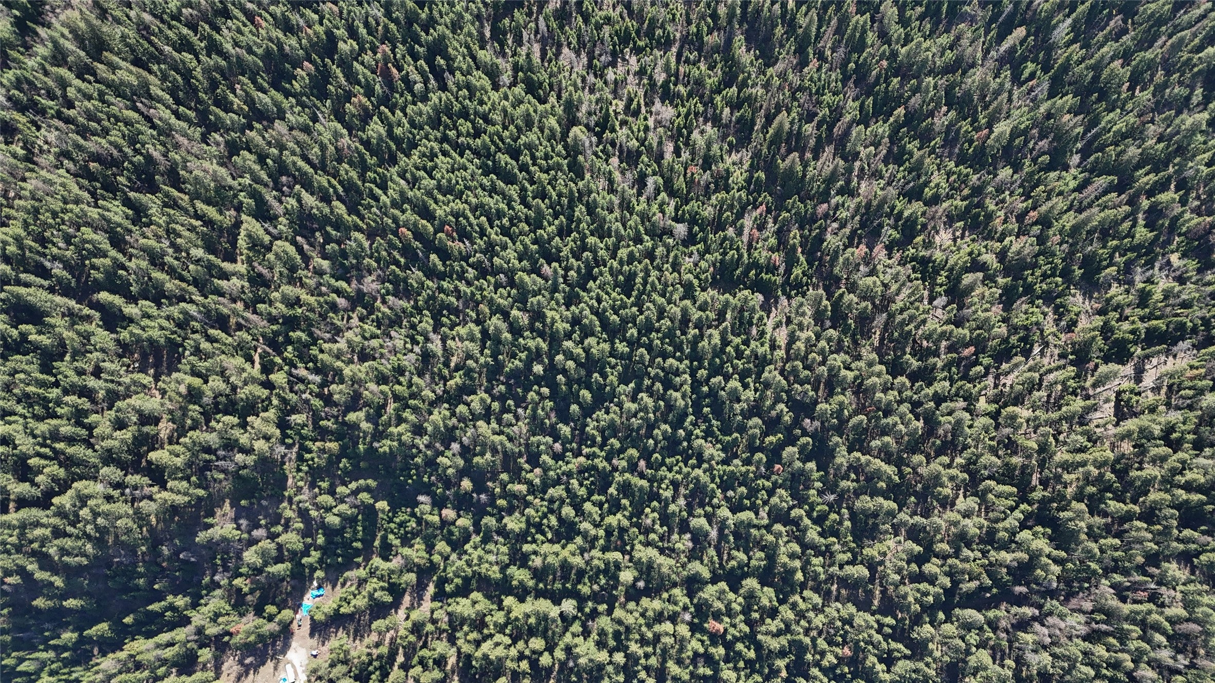 N/a Wapiti Point Road Thompson Falls, MT 59873 - Photo 2 of 17 Gallery Image 2