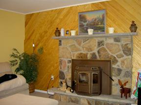 20 King Arthur Road Blakeslee, PA 18610 - Photo 5 of 9 Living room with pellet stove